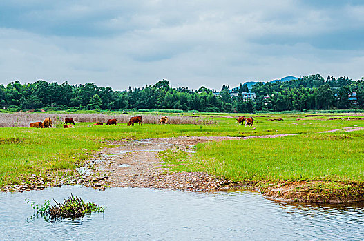 soi cầu lô cặp khung 3 ngày miễn phí