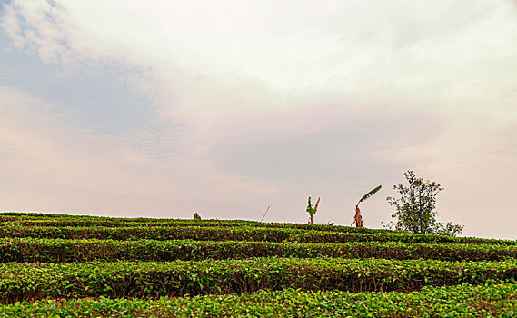 lô khung 2 ngày miễn phí