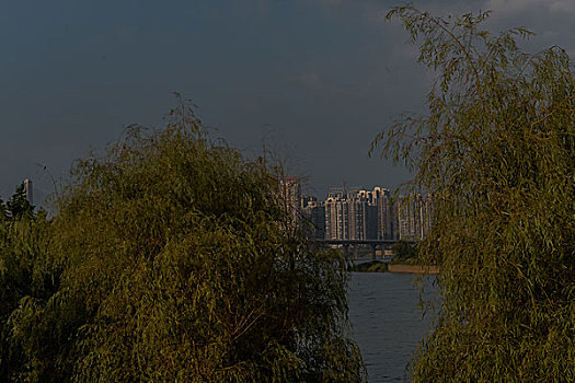 soi lô đề hôm nay