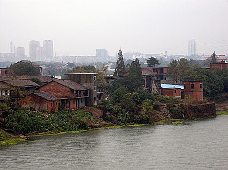 rong bạch kim 666
