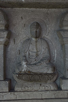 rong bach kim soi cau 88