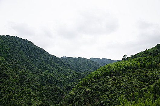 soi câu bach thu xsmb