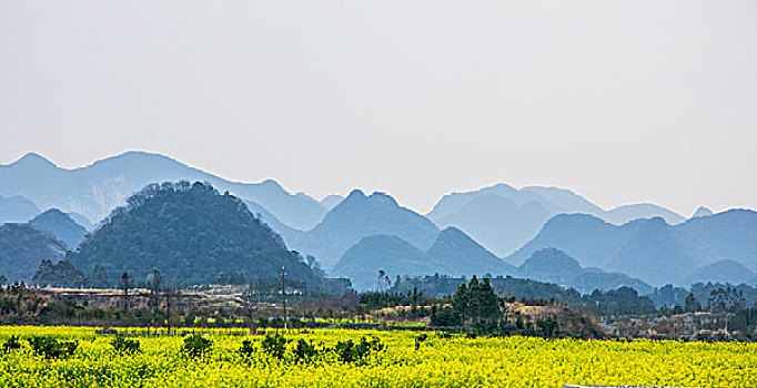 soi cau 2888