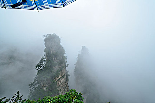 soi cau bach kim mb