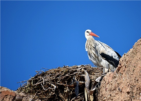 xổ số hôm