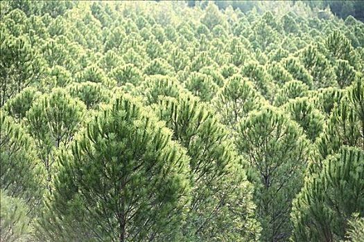 dự đoán xổ số miền nam wap