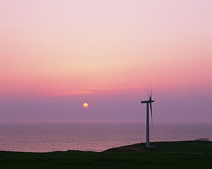 xổ số cà mau