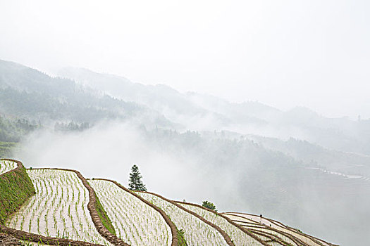 xổ số tiền giang chủ nhật hàng tuần