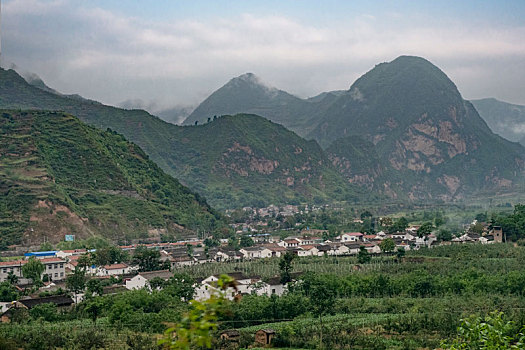 bạch thủ đề hôm nay con gì