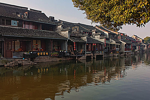 bạch thủ đề ngày mai