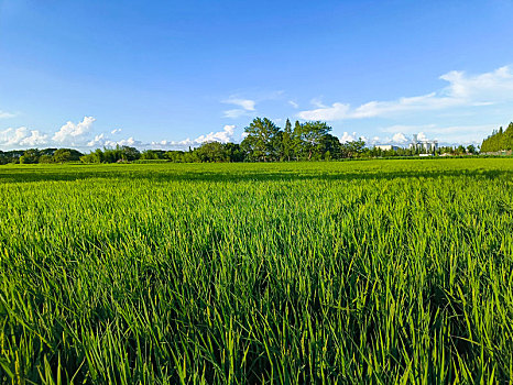 xổ số miền nam thứ hai hàng tuần