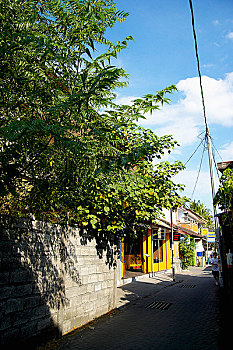 soi cau thong ke
