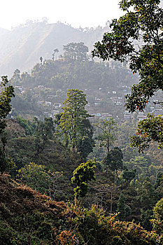 soi cau lo de bach thu
