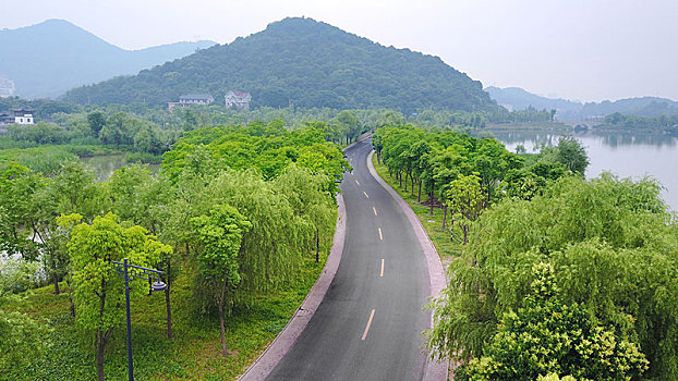lô bạch kim