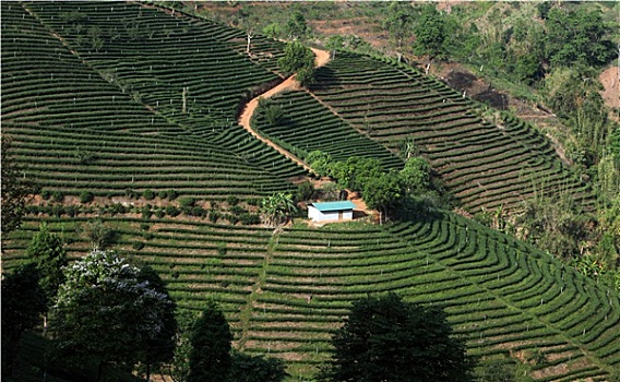 cách đánh đầu đuôi miền nam
