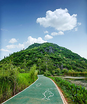 soi cau lo chinh xac mien phi