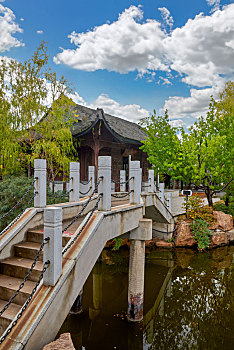rong bach kim 888