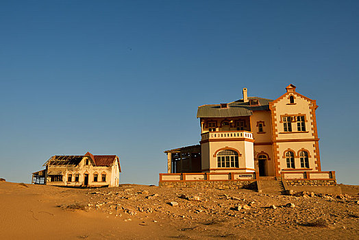 soi câu bach kim