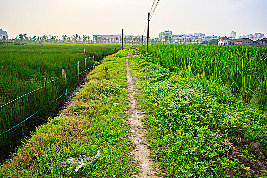 du doan dac biet mien bac hom nay