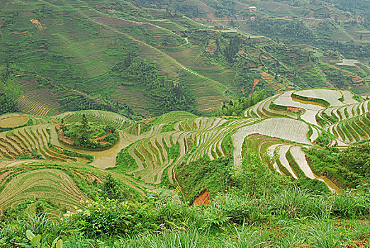 soi cầu vàng 6789