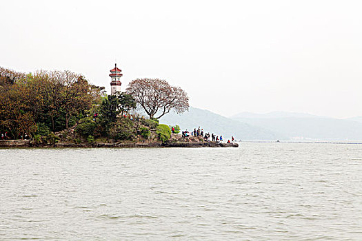 soi cau chinh xac 100