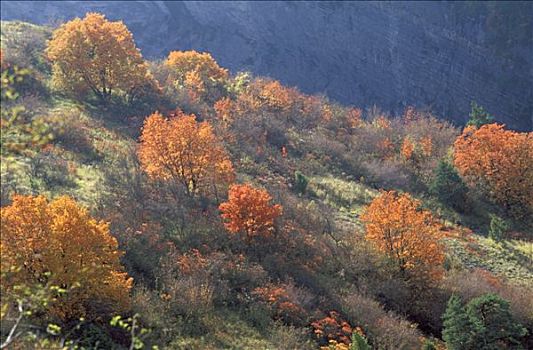 soi cau nha cai