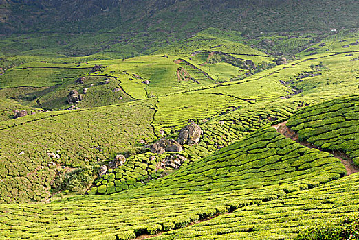có nên đánh lô đề không