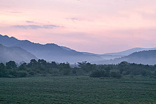 tìm hiểu về lô đề