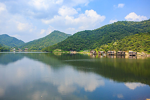 soi lo bach thu