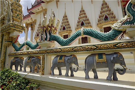 soi cau 68 net