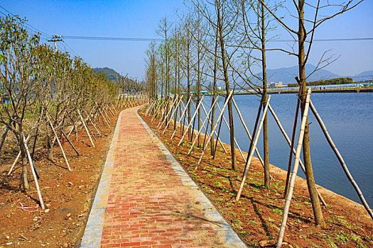 xổ số long an hôm nay