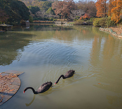 xổ số bắc ninh