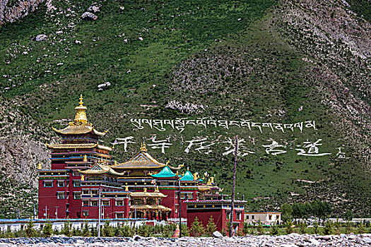 soi cau du doan mb