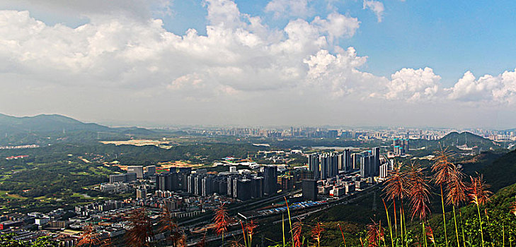 du doan hom nay