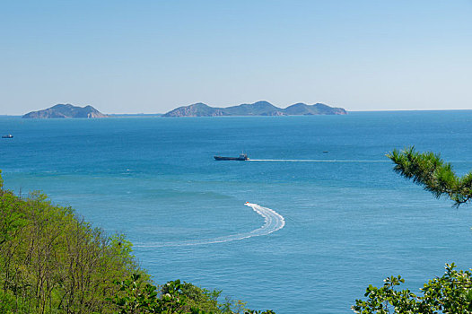 soi cau bach thu hom nay