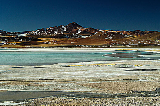 lo khung rong bach kim