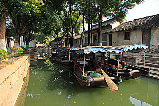 soi lô bạch thủ