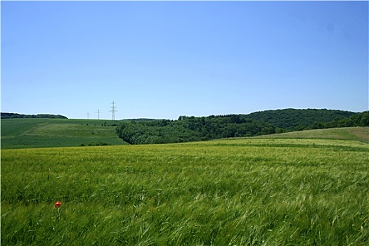 du đoan