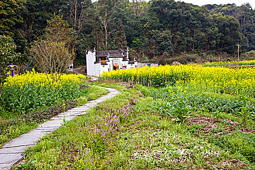 kqxs quang binh