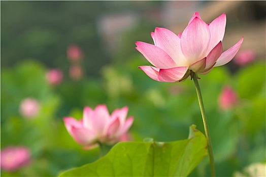 thống kê xổ số bình định