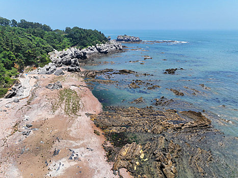 minh ngọc trực tiếp