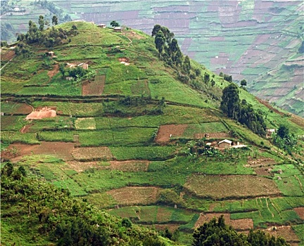 lo đep hom nay
