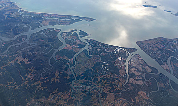 bạch thủ ngày hôm nay