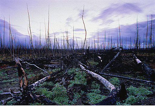 soi cầu đề hôm nay