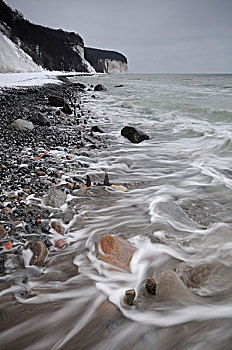 soi câu bach thu