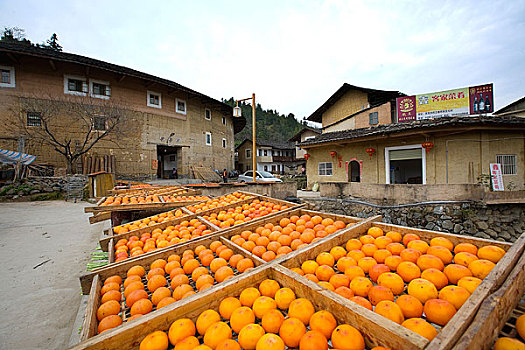 lô miền bắc hôm nay
