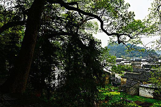soi cau lo de chuan