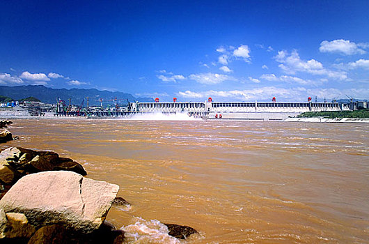 soi cau bach rong kim