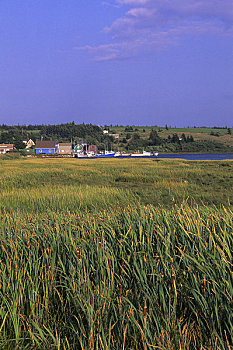 lô rơi miền bắc