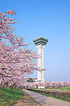 kết quả xổ số minh ngọc
